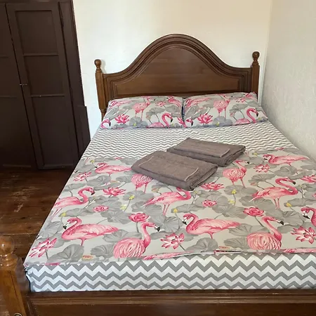 Casa Flamingo 营地