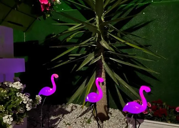 营地 Casa Flamingo 菲盖拉-达福什