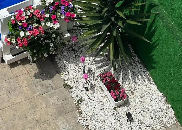 Casa Flamingo 营地 *