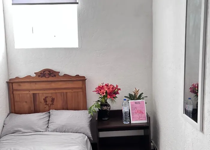 Casa Flamingo * 菲盖拉-达福什