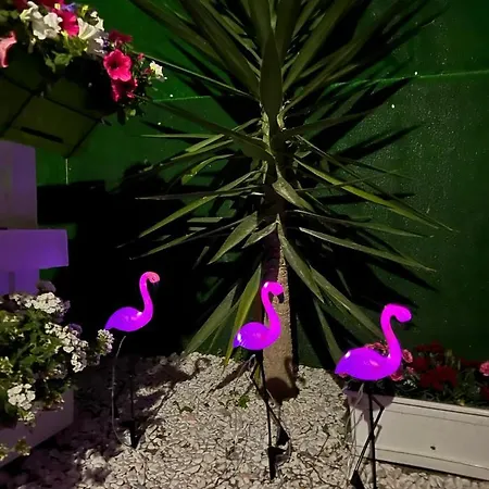 Kemping Casa Flamingo Figueira da Foz