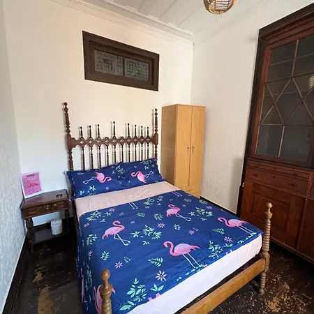 Kemping Casa Flamingo *