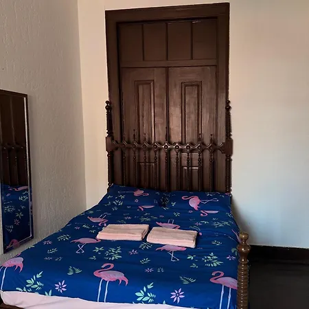Casa Flamingo *