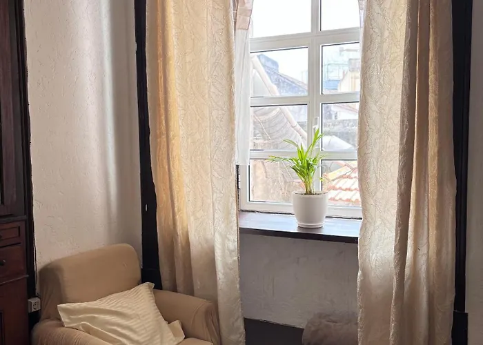 Casa Flamingo Campsite Figueira da Foz